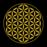 Profile photo of Anis